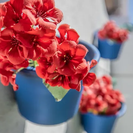 Appartement Terraza De Barrionuevo