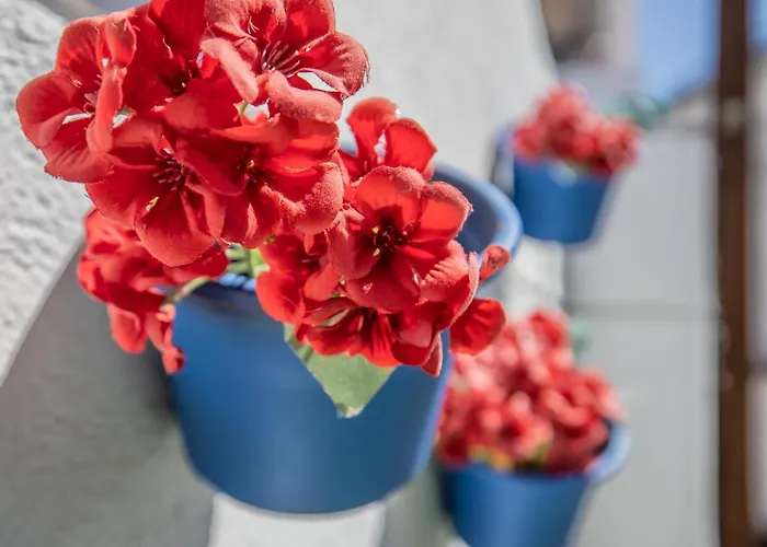 Daire Terraza De Barrionuevo