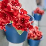 Apartman Terraza De Barrionuevo